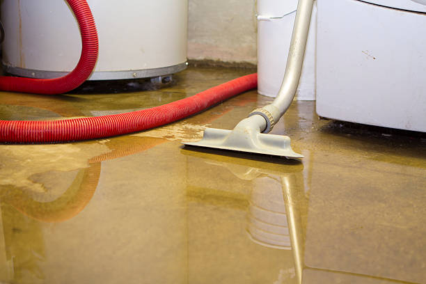 Best Water damage restoration services  in Ralls, TX