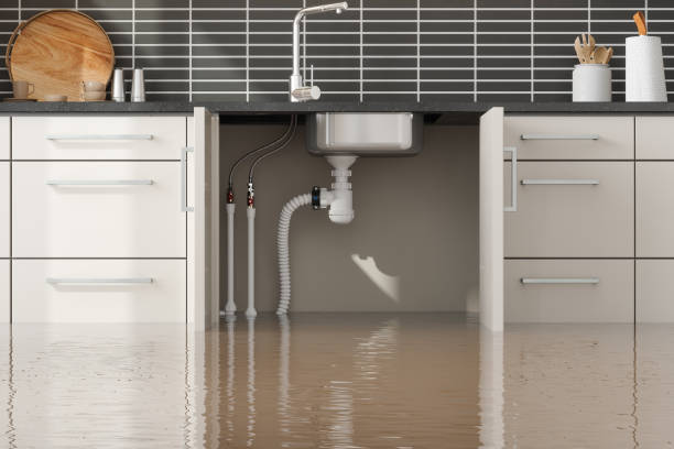 Best 24/7 water damage repair  in Ralls, TX